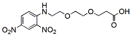 Molecular structure of the compound: DNP-PEG2-acid