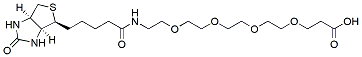 Molecular structure of the compound: Biotin-PEG4-acid