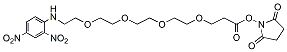Molecular structure of the compound: DNP-PEG4-NHS ester