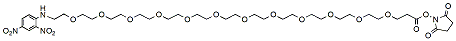 Molecular structure of the compound: DNP-PEG12-NHS ester