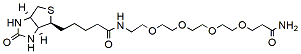Molecular structure of the compound: Biotin-PEG4-Amide