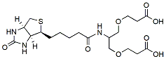 Molecular structure of the compound: 2-(Biotin-amido)-1,3-bis(carboxylethoxy)propane