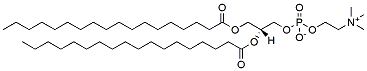 Molecular structure of the compound: DSPC