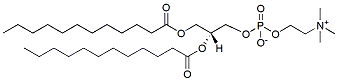 Molecular structure of the compound: DLPC