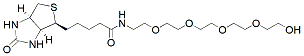 Molecular structure of the compound: Biotin-PEG5-alcohol