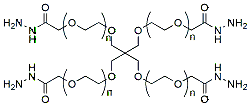 Molecular structure of the compound: 4-Arm PEG-Hydrazide, MW 20,000