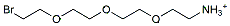 Molecular structure of the compound: Bromo-PEG3-Amine, HCl salt