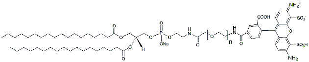 Molecular structure of the compound: DSPE-PEG-Fluor 488, MW 2,000