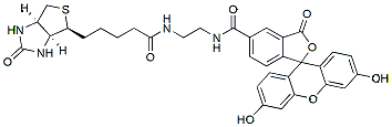 Molecular structure of the compound: Biotin-4-Fluorescein