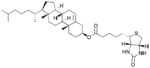 Molecular structure of the compound: Biotin-Cholesterol