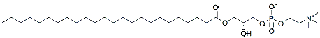 Molecular structure of the compound: 24:0 Lyso PC