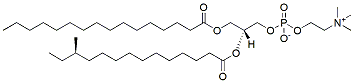 Molecular structure of the compound: 16:0-a15:0 PC