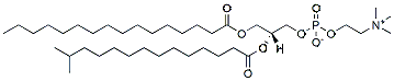 Molecular structure of the compound: 16:0-i15:0 PC