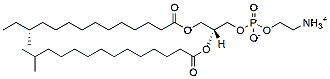 Molecular structure of the compound: a15:0-i15:0 PE