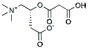Molecular structure of the compound: Malonyl-L-carnitine