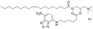 Molecular structure of the compound: Fluorescent DOTAP