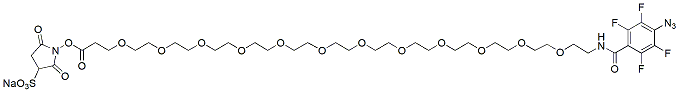 Molecular structure of the compound: Sulfo-NHS-PEG12-TFPA