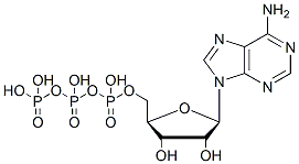 Molecular structure of the compound: Adenosine 5-triphosphate
