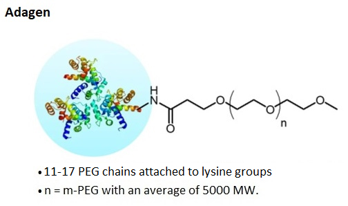 diagram of antibody drug conjugate linker as well as a description