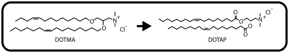 Shape, arrow

Description automatically generated