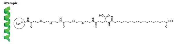 molecular structure of ozempic (semaglutide)