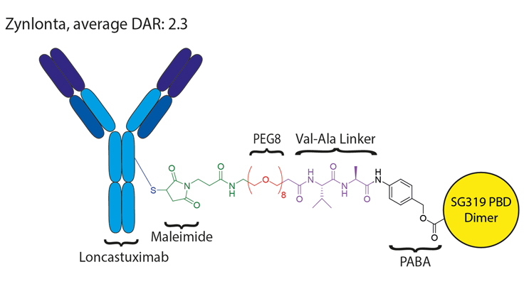 diagram of antibody drug conjugate linker as well as a description